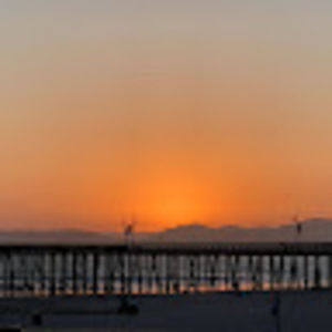 Meet your Posher, Avery